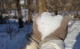 Первый снег: как встретили его звездные родители