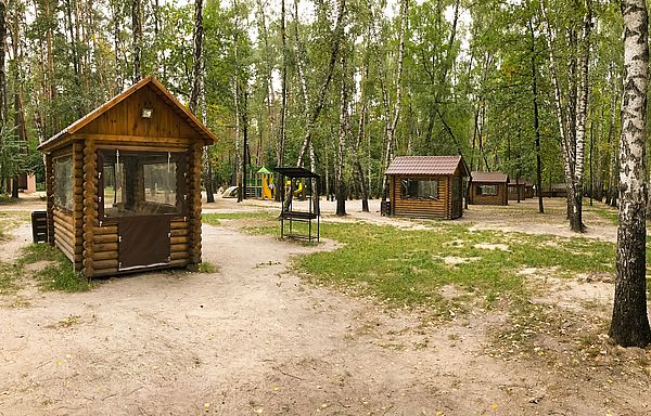 зона для шашлыков и барбекю, где в киеве пожарить шашлык, зоны для пикника в киеве