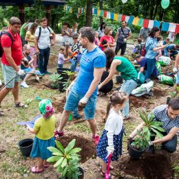 День батька в ботсаду: тата з дітьми висадили понад 50 рододендронів!