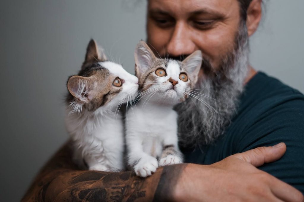 Источник: facebook.com/catfair.kyiv