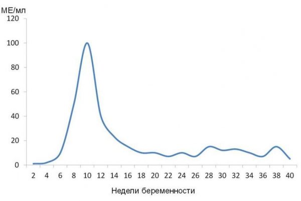 Динамика ХГЧ при беременности график