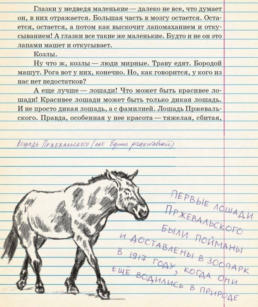 Источник: azon.market