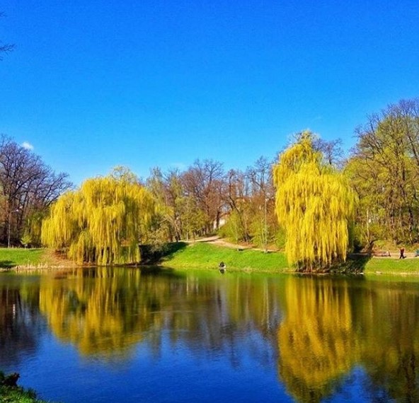 парки киева, осенние парки, осенний киев, прогулки осенью