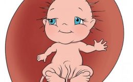 Что чувствует ребенок в животике у мамы?