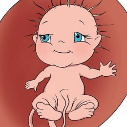 Что чувствует ребенок в животике у мамы?