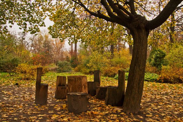 парки киева, осенние парки, осенний киев, прогулки осенью