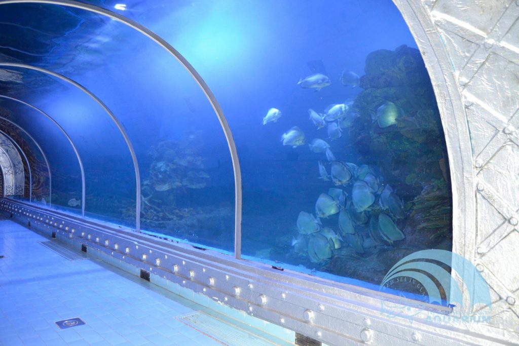 Источник: facebook.com/grandaquariumpage