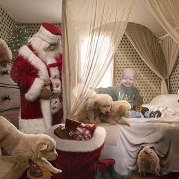 Магія Різдва: казковий фотопроект до Різдва з дітьми з лікарень