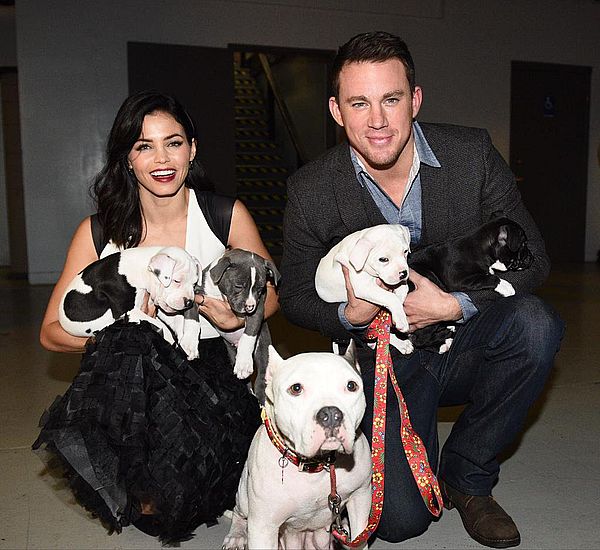 Источник: twitter.com/channingtatum