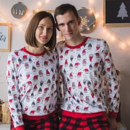 В чем встречать Новый 2019 год?