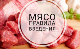 Мясо в детском рационе: какое, когда и сколько