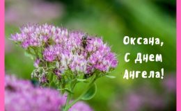 С днем ангела Оксаны: красивые поздравления и много открыток