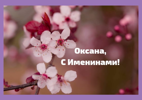 З днем ​​ангела Оксани, листівки з днем ​​Оксани, вітання з іменинами Оксани