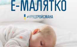 Е-малыш: оформление документов и пособия на ребенка онлайн – новая услуга
