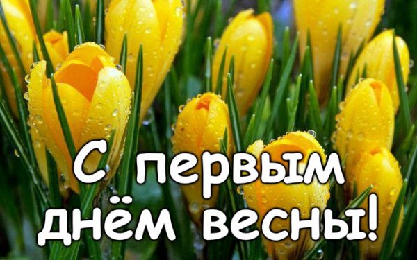 С первым днем весны, С первым днем весны поздравления, С первым днем весны открытки, С первым днем весны картинки