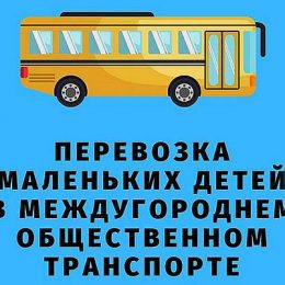 Перевезення дитини у міжміському автобусі: правила безпеки
