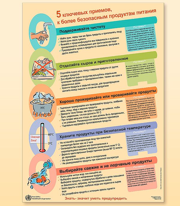 Кишечные инфекции