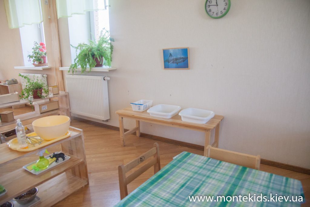 Источник: sadik.monteschool.kiev.ua