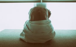 Лямблии: 3 признака того, что вы заражены паразитами