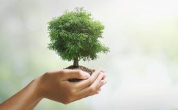 Как коронавирус спасает планету