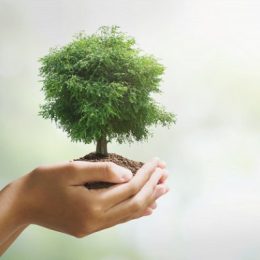Как коронавирус спасает планету