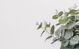 6 продуктов, которые помогут защитить легкие во время эпидемии коронавируса
