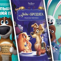 Милые и пушистые: 7 мультфильмов для любителей собак