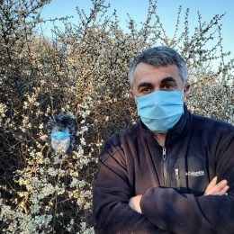 Комаровський розповів, як самостійно вдома протестувати собі на коронавірус