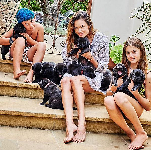Источник: instagram @alessandraambrosio