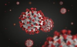 Ученые выяснили, сколько действует иммунитет к COVID-19
