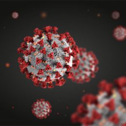 Вчені з’ясували, скільки діє імунітет до COVID-19