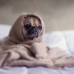 5 порад від стресу, які дійсно працюють