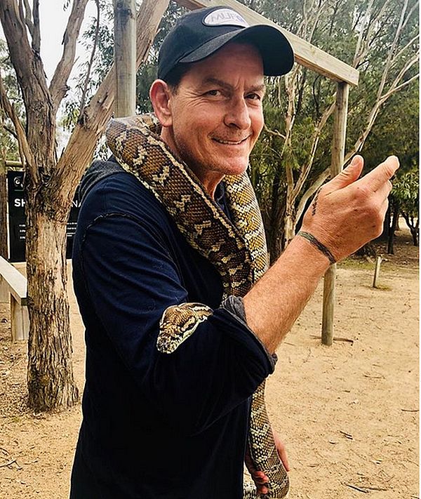 Источник: instagram @charliesheen