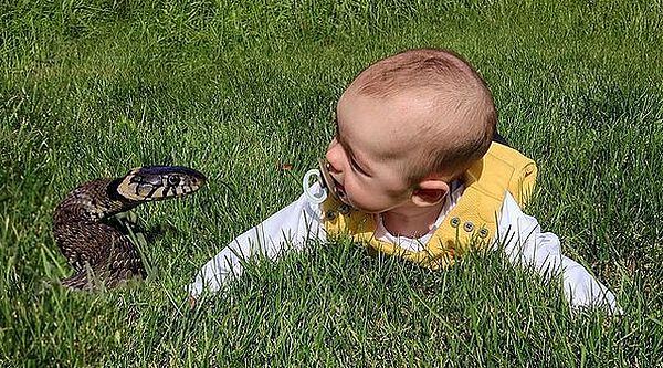 пригоди однорічної дівчинки в фотографіях батька