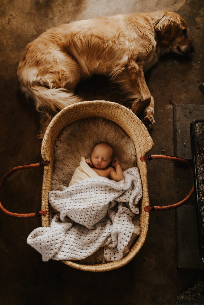 Источник: Looks Like Film