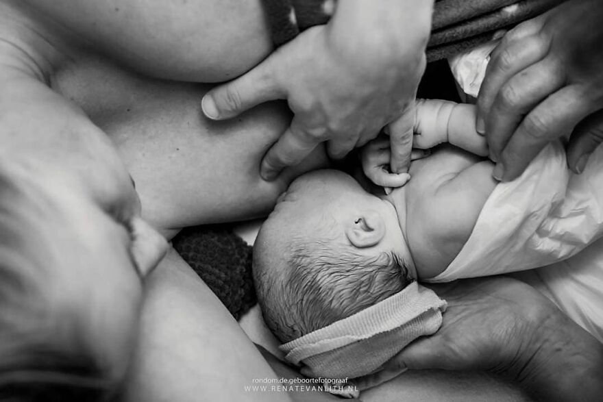Источник: Renate van Lith