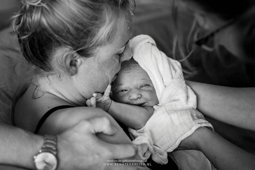 Источник: Renate van Lith