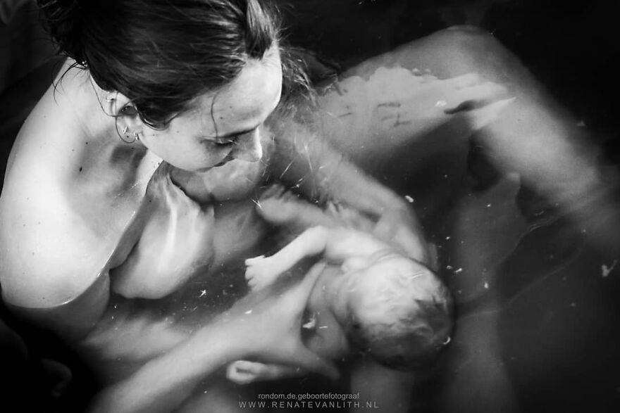 Источник: Renate van Lith