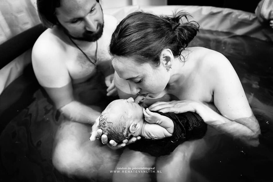 Источник: Renate van Lith