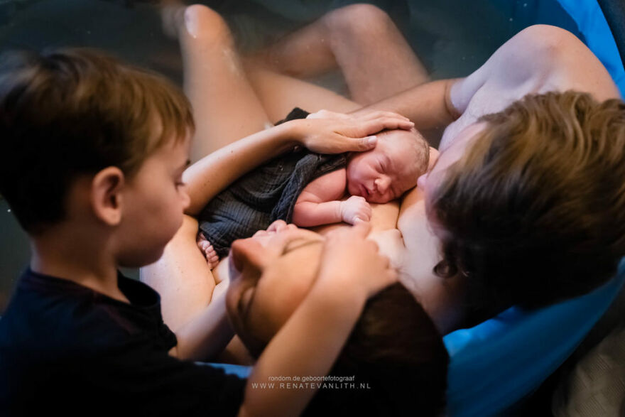 Источник: Renate van Lith