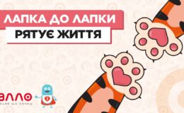 «Лапка до лапки рятує життя»: новорічна благодійна акція АЛЛО для підопічних БФ «Таблеточки»