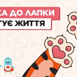 «Лапка до лапки рятує життя»: новорічна благодійна акція АЛЛО для підопічних БФ «Таблеточки»