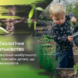 Не детская тема? Как объяснить ребенку, что такое экология