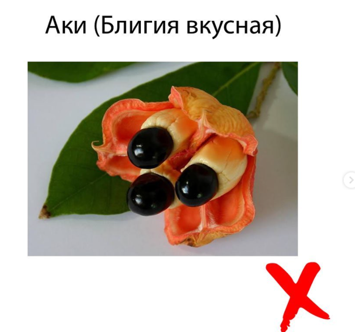 Джерело: instagram@dr__maya