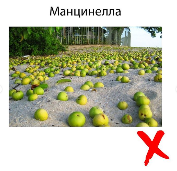 Джерело: instagram@dr__maya