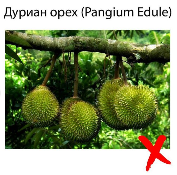 Джерело: instagram@dr__maya