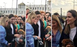 Анджелина Джоли во Львове: фото, видео и забавные мемы