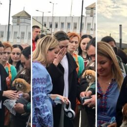 Анджеліна Джолі у Львові: фото, відео та кумедні меми
