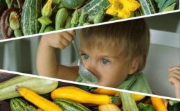 Кабачковые хиты из кабачков: 5 вкусных и полезных детских блюд