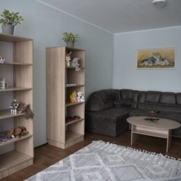 Против насилия: открытие кризисной комнаты в Чернигове